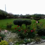 Apartment Le Rose