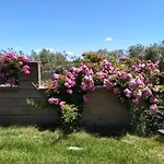 Le Rose
