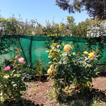 Appartamento Le Rose *