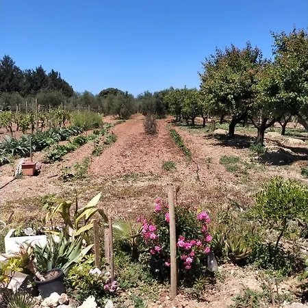 Le Rose Appartamento *