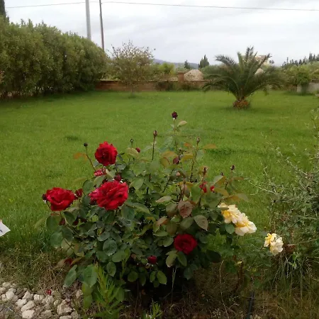 Lejlighed Le Rose *