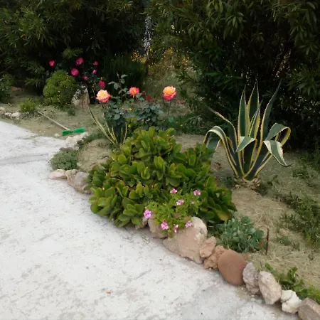 Le Rose Appartamento Olmedo