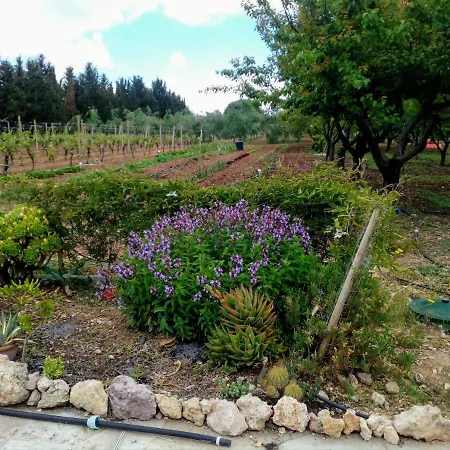 Appartamento Le Rose Olmedo
