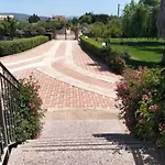 Le Rose *