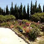 Le Rose *