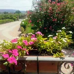 Le Rose Apartamento *