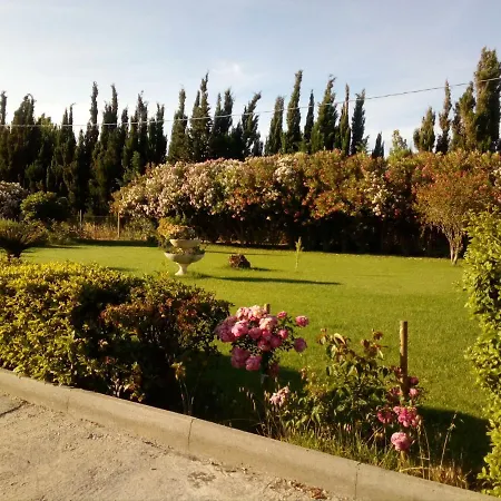 Le Rose * Olmedo