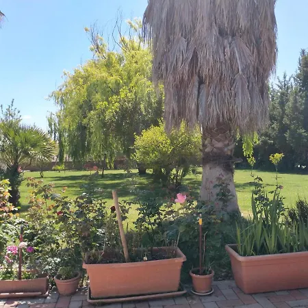 Le Rose Apartment Olmedo