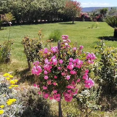 Le Rose * Olmedo