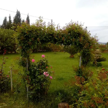 Le Rose Apartment *