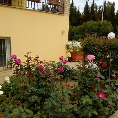 Appartamento Le Rose Olmedo
